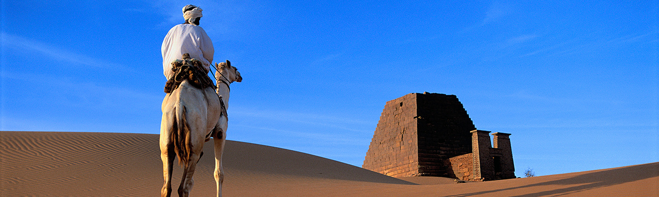 Meroe Camel - Sudan